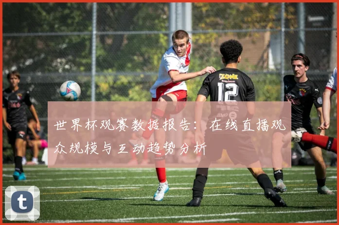 世界杯观赛数据报告：在线直播观众规模与互动趋势分析