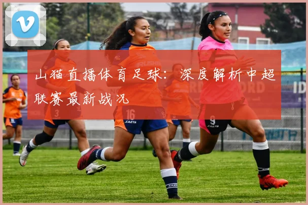 山猫直播体育足球:深度解析中超联赛最新战况