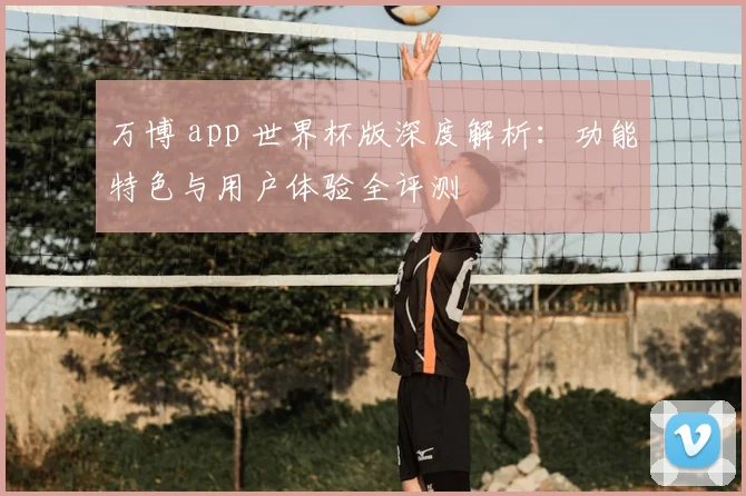 万博 app 世界杯版深度解析：功能特色与用户体验全评测