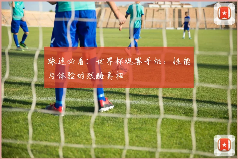 球迷必看：世界杯观赛手机，性能与体验的残酷真相