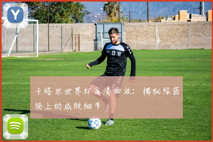 卡塔尔世界杯高清回放：揭秘绿茵场上的成败细节