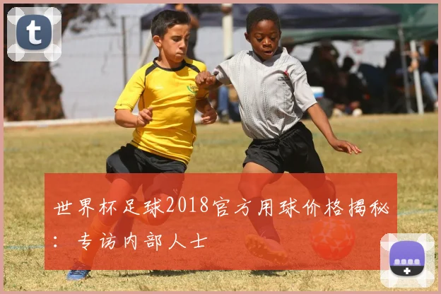 世界杯足球2018官方用球价格揭秘：专访内部人士