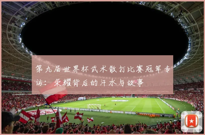 第九届世界杯武术散打比赛冠军专访：荣耀背后的汗水与故事